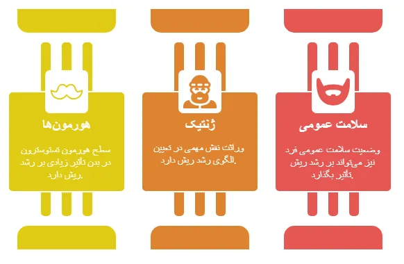 عوامل موثر