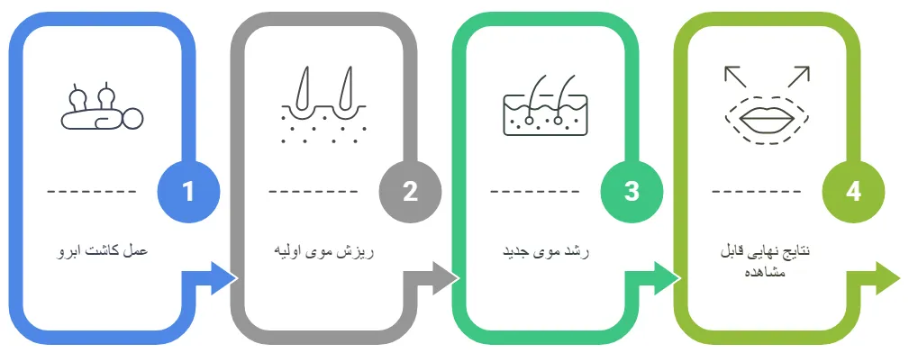 نتیجه ی نهایی