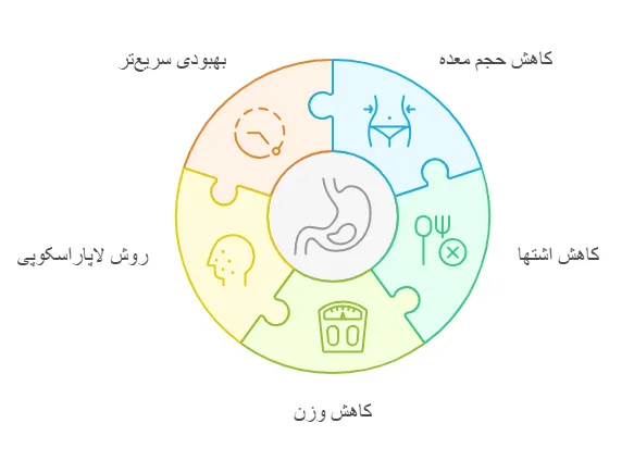 اسلیو