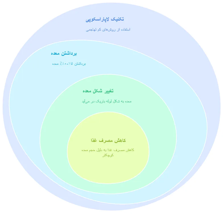 اسلیو