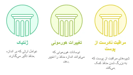 شناخت