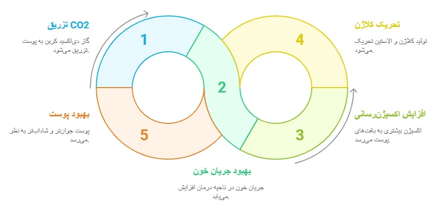 فرایند