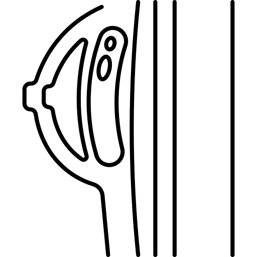 پروتز سینه